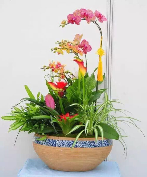組合花卉租賃