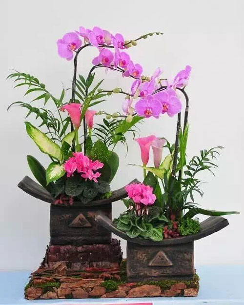 組合花卉租賃